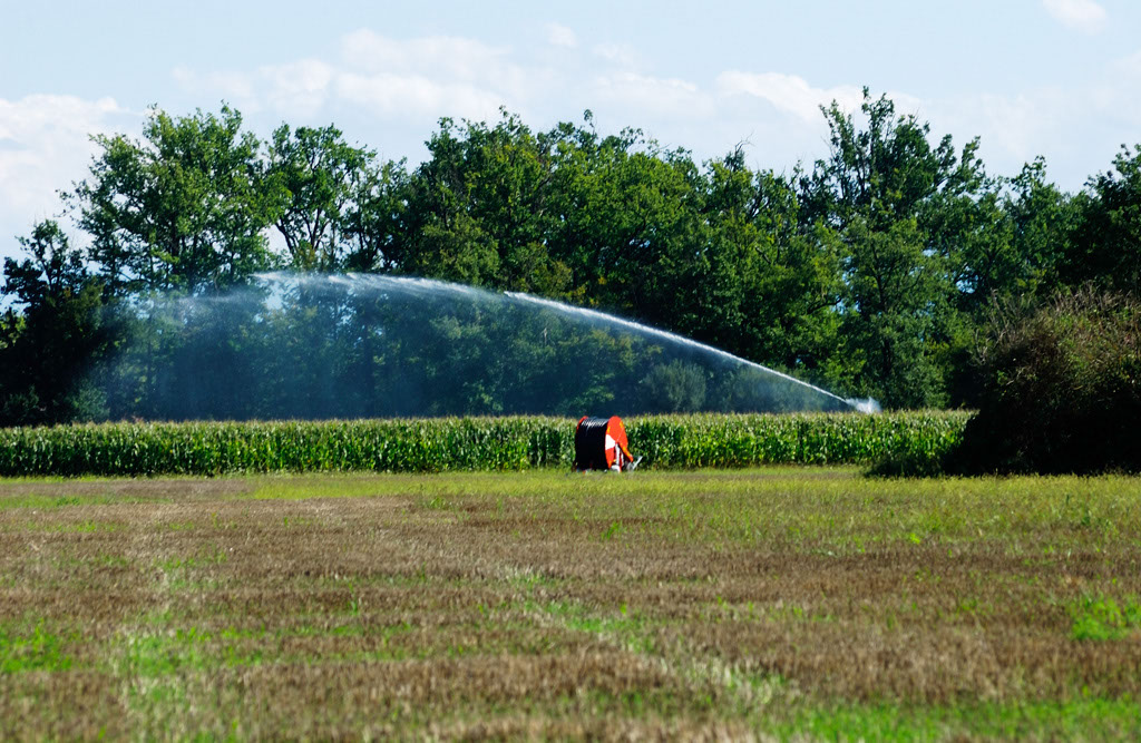 Lire la suite à propos de l’article Prélèvements d’eau 2022-2023 pour l’irrigation : RÉSEAU31 accompagne les agriculteurs