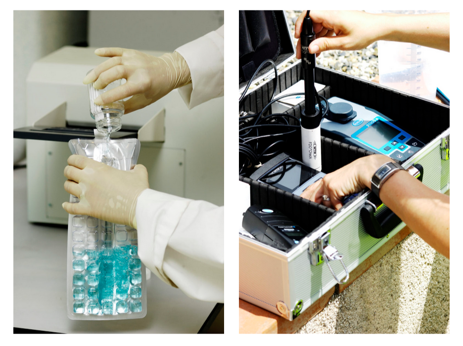 competences techniques reseau31