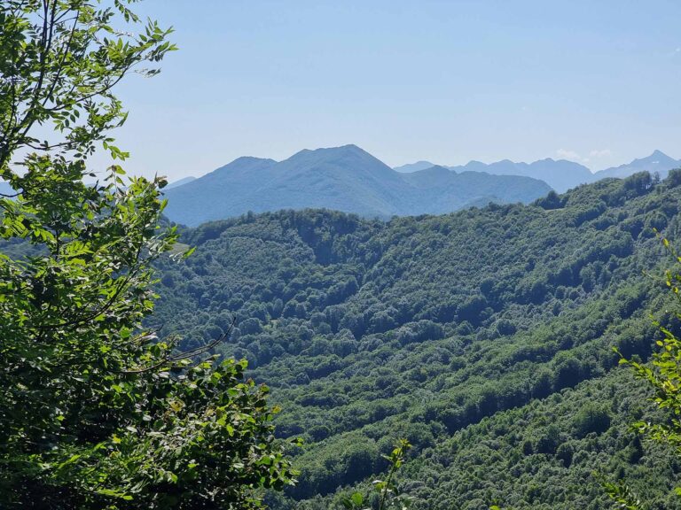 creation parc naturel regional comminges