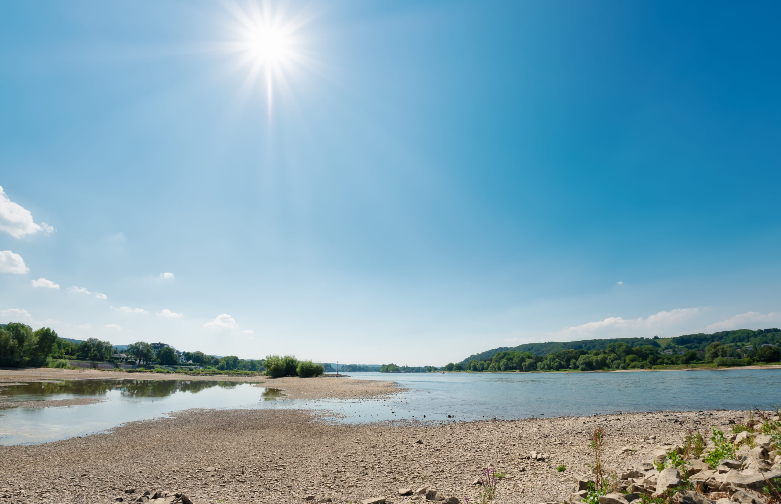 Lire la suite à propos de l’article Déjà les premières restrictions d’eau dans le département : anticipons ensemble un été qui s’annonce sec !