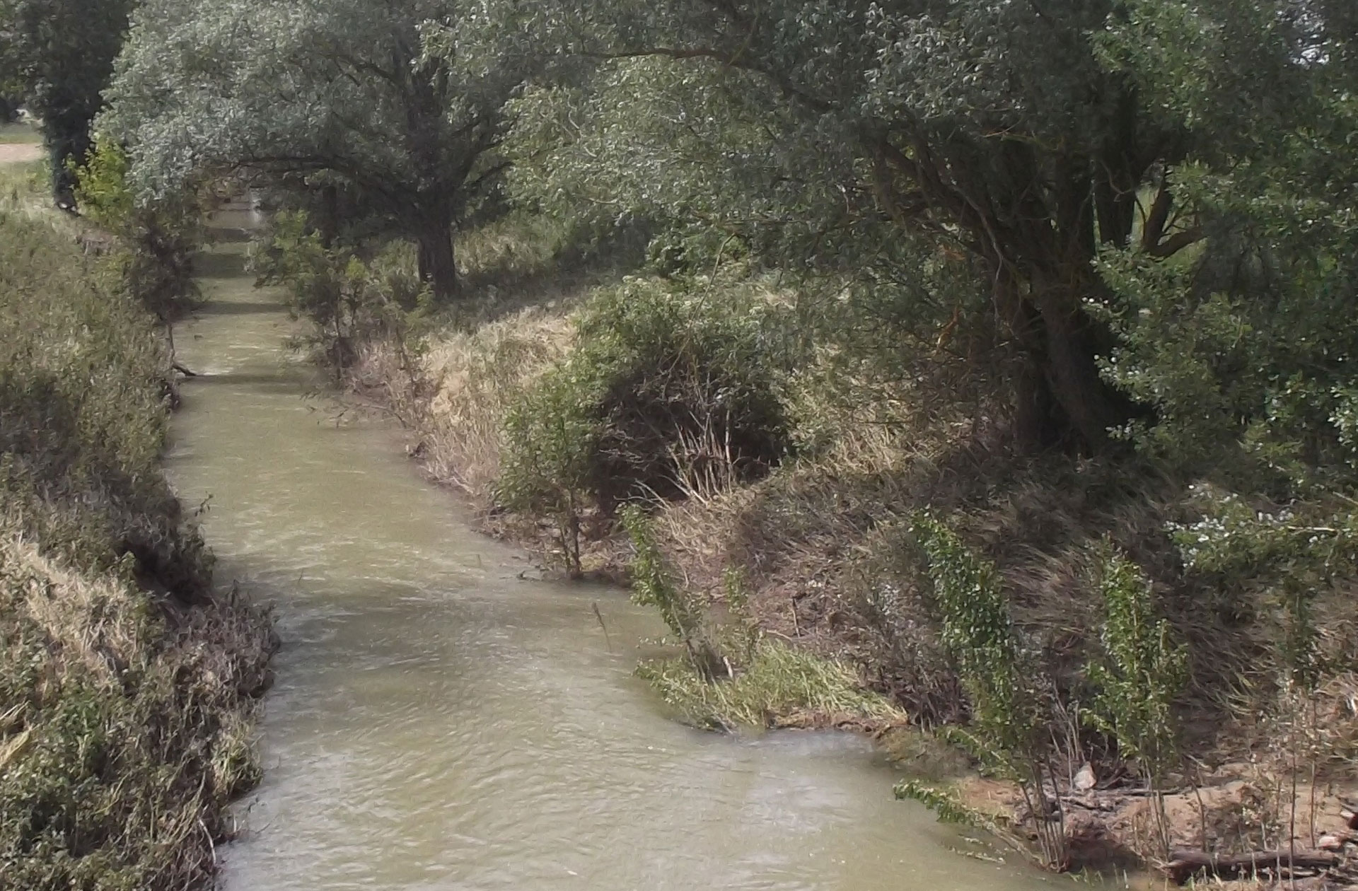 Lire la suite à propos de l’article Restrictions des prélèvement d’eau : RÉSEAU31 appelle à la vigilance !